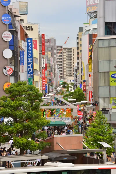 DSC_4013 (Large).JPG